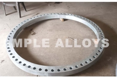 Backing Ring Flanges