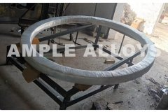 Backing Ring Flanges