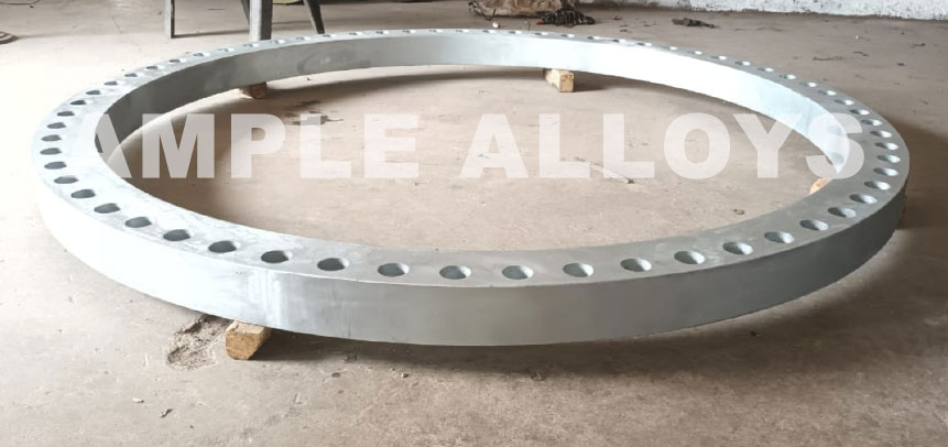 Stainless Steel Backing Ring Flange